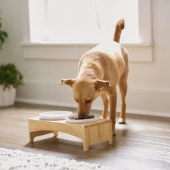 Frisco Ceramic Dog & Cat Double Diner With Elevated Wood Stand -Blue Buffalos Shop 256052 PT2. AC SS1800 V1615311142