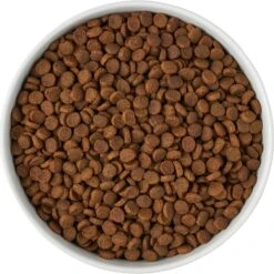 Frisco Paw Prints Non-skid Ceramic Bowl 13 Frisco Paw Prints Non-skid Ceramic Bowl -Blue Buffalos Shop 256072 PT5. AC SS1800 V1615312318