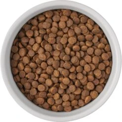 Frisco Bones Non-skid Ceramic Dog & Cat Bowl -Blue Buffalos Shop 256074 PT5. AC SS1800 V1615312010