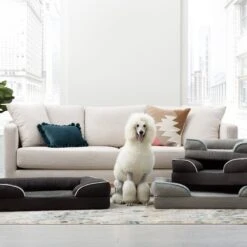 Brindle Orthopedic Bolster Dog & Cat Bed With Removable Cover -Blue Buffalos Shop 256164 PT7. AC SS1800 V1602111368