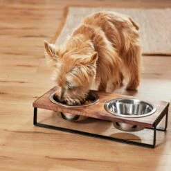 Frisco Wood Elevated Non-Skid Stainless Steel Double Diner Dog & Cat Bowl -Blue Buffalos Shop 257143 PT3. AC SS1800 V1615987292