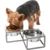 Frisco Elevated Diamond Stainless Steel Double Diner Dog & Cat Bowl -Blue Buffalos Shop 257147 MAIN. AC SS1800 V1615913790