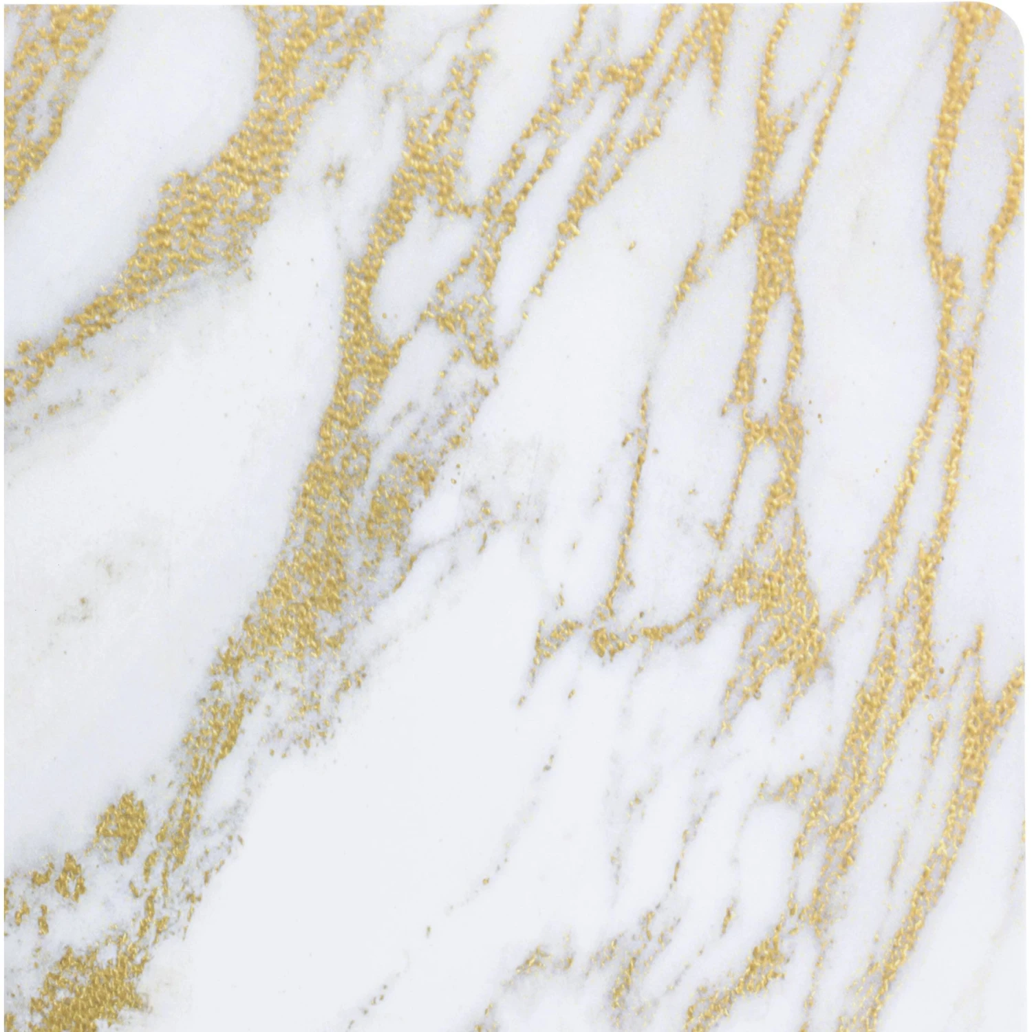 Park Life Designs Daze Dog & Cat Placemat 4 Park Life Designs Daze Dog & Cat Placemat - Image 2