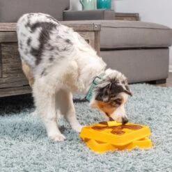 OurPets Waffle Squeaky Treat Dispensing Puzzle Dog & Cat Toy -Blue Buffalos Shop 258949 PT1. AC SS1800 V1605883341