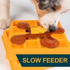 OurPets Waffle Squeaky Treat Dispensing Puzzle Dog & Cat Toy -Blue Buffalos Shop 258949 PT4. AC SS1800 V1605915728