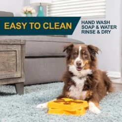 OurPets Waffle Squeaky Treat Dispensing Puzzle Dog & Cat Toy -Blue Buffalos Shop 258949 PT5. AC SS1800 V1605910630