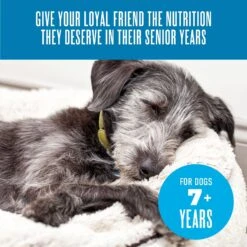Tiki Dog Aloha Petites Senior Mousse Chicken, Beef & Pumpkin In Broth Grain-Free Wet Dog Food -Blue Buffalos Shop 259160 PT7. AC SS1800 V1631197321