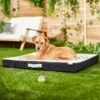 Frisco Indoor/Outdoor Arrow Print Pillow Dog Bed W/Removable Cover -Blue Buffalos Shop 262153 MAIN. AC SS1800 V1619807962