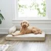 Frisco Faux Linen Corner Personalized Bolster Dog Bed W/Removable Cover -Blue Buffalos Shop 262158 MAIN. AC SS1800 V1615828368