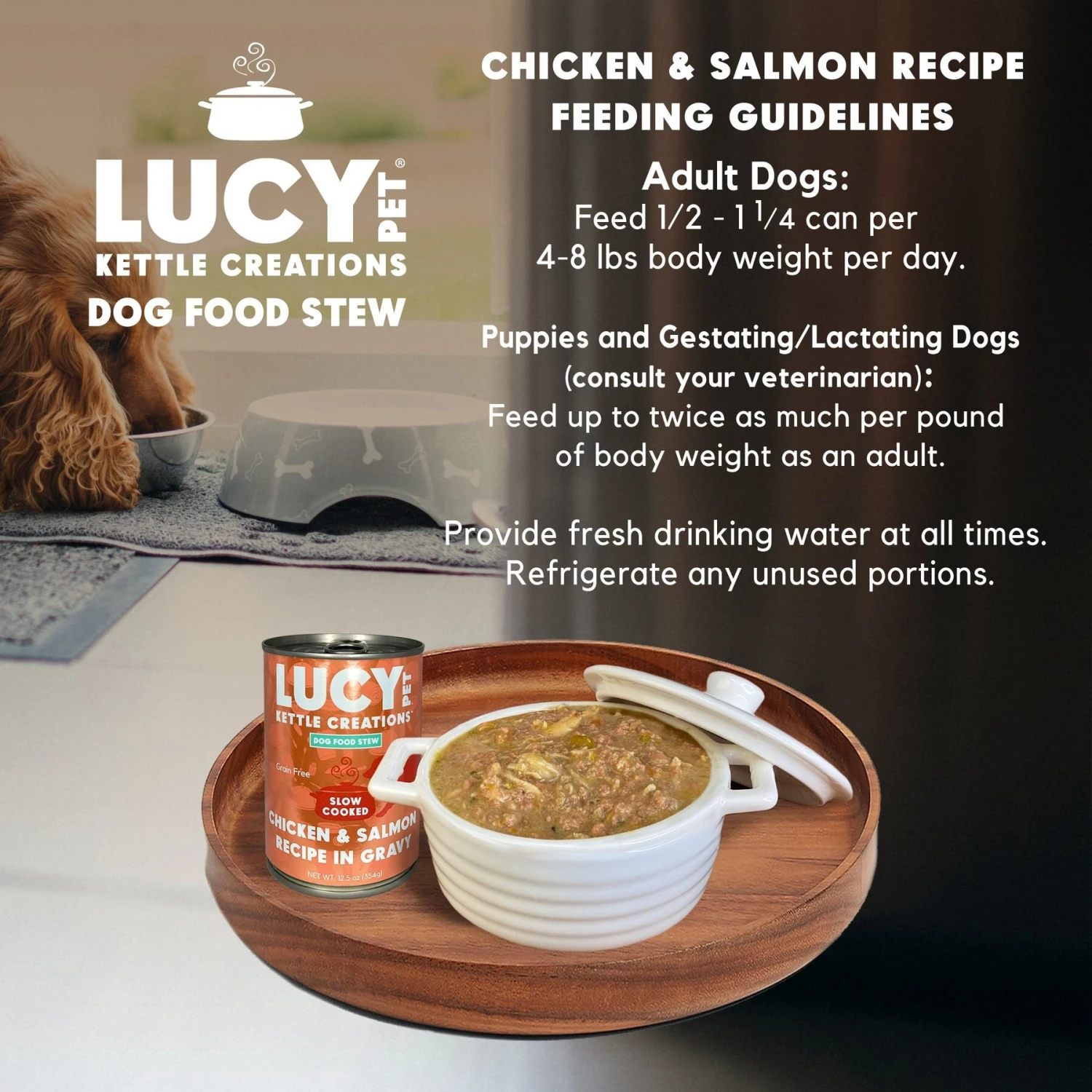 Lucy Pet Products Kettle Creations Chicken & Salmon Recipe In Gravy Wet Dog Food, 12.5-oz Can, Case Of 12 8 Lucy Pet Products Kettle Creations Chicken & Salmon Recipe In Gravy Wet Dog Food, 12.5-oz Can, Case Of 12 - Image 6