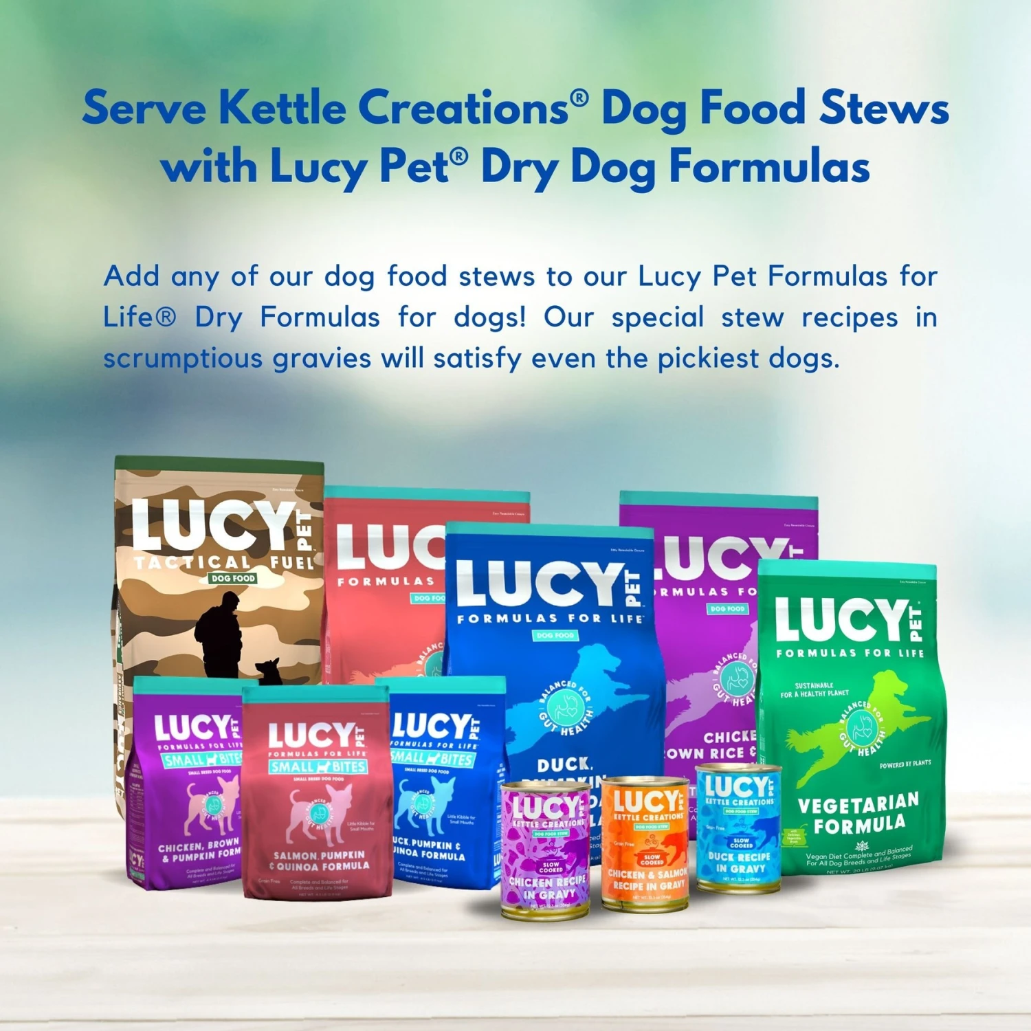 Lucy Pet Products Kettle Creations Chicken & Salmon Recipe In Gravy Wet Dog Food, 12.5-oz Can, Case Of 12 9 Lucy Pet Products Kettle Creations Chicken & Salmon Recipe In Gravy Wet Dog Food, 12.5-oz Can, Case Of 12 - Image 7