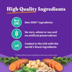 Halo Holistic Vegan Complete Digestive Health Plant-Based Recipe With Kelp Adult Formula Dry Dog Food -Blue Buffalos Shop 263687 PT6. AC SS1800 V1675440128