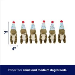 Frisco Birthday Volcano & Dinosaurs Hide & Seek Puzzle Plush Squeaky Dog Toy -Blue Buffalos Shop 264424 PT2. AC SS1800 V1695761147
