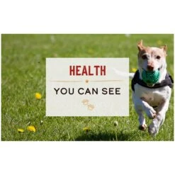 Merrick Limited Ingredient Diet Chicken & Brown Rice Recipe Wet Dog Food, 12.7-oz Can, Case Of 12 -Blue Buffalos Shop 264808 PT6. AC SS1800 V1632794206