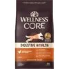 Wellness CORE Digestive Health Wholesome Grains Chicken & Brown Rice Recipe Dry Dog Food