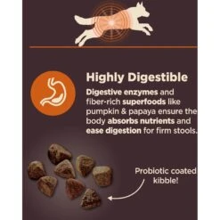 Wellness CORE Digestive Health Wholesome Grains Chicken & Brown Rice Recipe Dry Dog Food -Blue Buffalos Shop 264874 PT3. AC SS1800 V1608677570