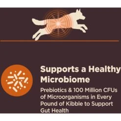 Wellness CORE Digestive Health Wholesome Grains Chicken & Brown Rice Recipe Dry Dog Food -Blue Buffalos Shop 264874 PT4. AC SS1800 V1608687471