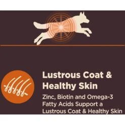 Wellness CORE Digestive Health Wholesome Grains Chicken & Brown Rice Recipe Dry Dog Food -Blue Buffalos Shop 264874 PT5. AC SS1800 V1608691349