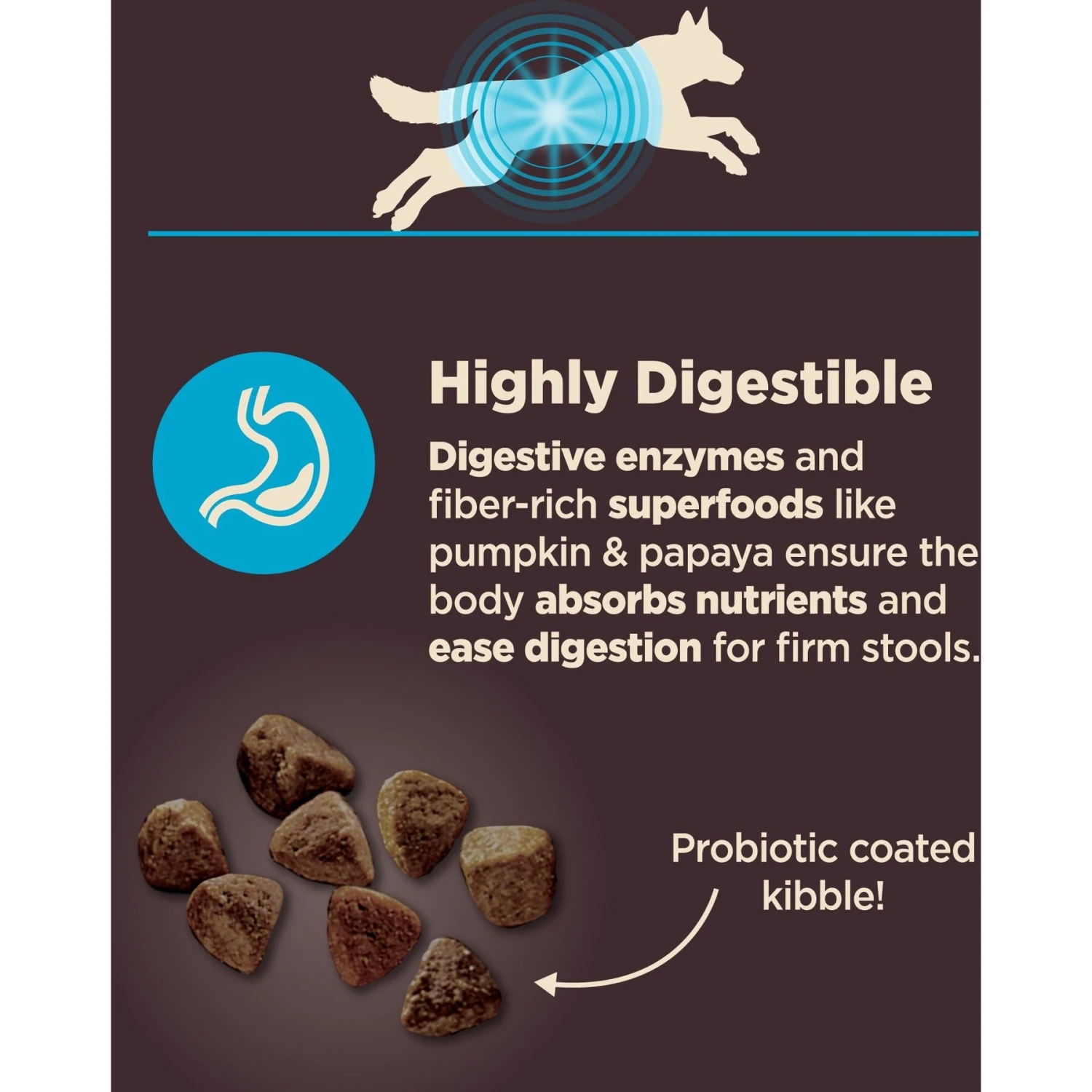 Wellness CORE Digestive Health Wholesome Grains Whitefish & Brown Rice Recipe Dry Dog Food 6 Wellness CORE Digestive Health Wholesome Grains Whitefish & Brown Rice Recipe Dry Dog Food - Image 4