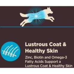 Wellness CORE Digestive Health Wholesome Grains Whitefish & Brown Rice Recipe Dry Dog Food 16 Wellness CORE Digestive Health Wholesome Grains Whitefish & Brown Rice Recipe Dry Dog Food -Blue Buffalos Shop 264880 PT5. AC SS1800 V1608680576