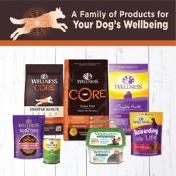 Wellness CORE Digestive Health Chicken & Beef Pate Variety Pack Grain-Free Wet Dog Food -Blue Buffalos Shop 264888 PT4. AC SS1800 V1623201448