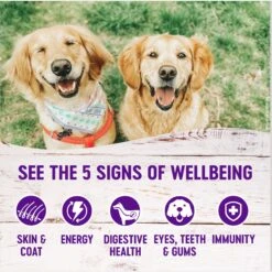 Wellness Complete Health Pate Variety Pack Wet Dog Food 14 Wellness Complete Health Pate Variety Pack Wet Dog Food -Blue Buffalos Shop 265116 PT3. AC SS1800 V1676299400