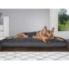 FurHaven Snuggle Deluxe Pillow Cat & Dog Bed With Removable Cover -Blue Buffalos Shop 265740 MAIN. AC SS1800 V1609372956