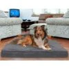FurHaven Terry Deluxe Memory Foam Pillow Cat & Dog Bed With Removable Cover -Blue Buffalos Shop 265749 MAIN. AC SS1800 V1609374764