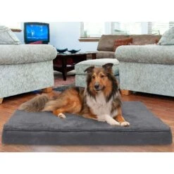 FurHaven Terry Deluxe Memory Foam Pillow Cat & Dog Bed With Removable Cover