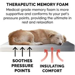 FurHaven Terry Deluxe Memory Foam Pillow Cat & Dog Bed With Removable Cover 17 FurHaven Terry Deluxe Memory Foam Pillow Cat & Dog Bed With Removable Cover -Blue Buffalos Shop 265749 PT6. AC SS1800 V1609372361