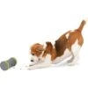 PetSafe Kibble Chase Roaming Treat Dropper Dog Toy -Blue Buffalos Shop 266209 MAIN. AC SS1800 V1648624954