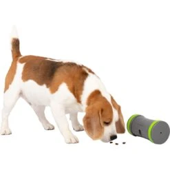 PetSafe Kibble Chase Roaming Treat Dropper Dog Toy -Blue Buffalos Shop 266209 PT6. AC SS1800 V1648601197