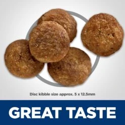 Hill's Science Diet Adult Perfect Digestion Salmon Dry Dog Food 14 Hill's Science Diet Adult Perfect Digestion Salmon Dry Dog Food -Blue Buffalos Shop 266825 PT3. AC SS1800 V1614208595