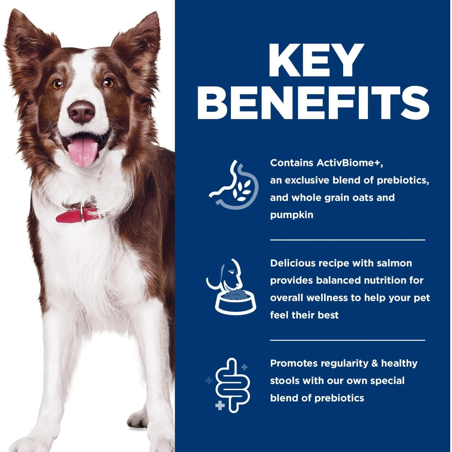 Hill's Science Diet Adult Perfect Digestion Salmon Dry Dog Food 8 Hill's Science Diet Adult Perfect Digestion Salmon Dry Dog Food - Image 6