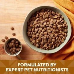 Nature's Recipe Mature Lamb & Rice Recipe Dry Dog Food -Blue Buffalos Shop 266853 PT3. AC SS1800 V1672851238