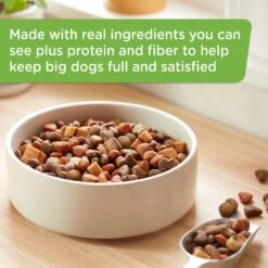 Rachael Ray Nutrish Big Life Large Breed Savory Chicken, Veggies & Barley Recipe Dry Dog Food -Blue Buffalos Shop 269167 PT3. AC SS1800 V1652741222
