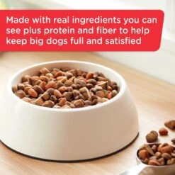 Rachael Ray Nutrish Big Life Large Breed Hearty Beef, Veggies & Brown Rice Recipe Dry Dog Food -Blue Buffalos Shop 269171 PT3. AC SS1800 V1652768798