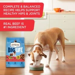 Rachael Ray Nutrish Big Life Large Breed Hearty Beef, Veggies & Brown Rice Recipe Dry Dog Food -Blue Buffalos Shop 269171 PT4. AC SS1800 V1652740612