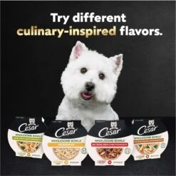 Cesar Wholesome Bowls Chicken, Sweet Potato & Green Beans Recipe Small Breed Adult Wet Dog Food -Blue Buffalos Shop 269185 PT8. AC SS1800 V1695674573