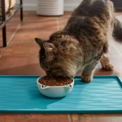 Frisco Cat Face Non-skid Ceramic Cat Bowl, White -Blue Buffalos Shop 270229 PT3. AC SS1800 V1620762318