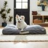 Frisco Chambray Pillow Dog Bed W/Removable Cover