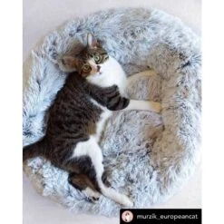 Mr. Peanut's OrthoPlush Orthopedic Cat & Dog Bed -Blue Buffalos Shop 271217 PT4. AC SS1800 V1612399008