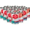 Chicken Soup For The Soul Classic Turkey & Bacon Recipe & Beef Pate Recipe Wet Dog Food, 13-oz Can, Case Of 12 -Blue Buffalos Shop 271274 MAIN. AC SS1800 V1694720228