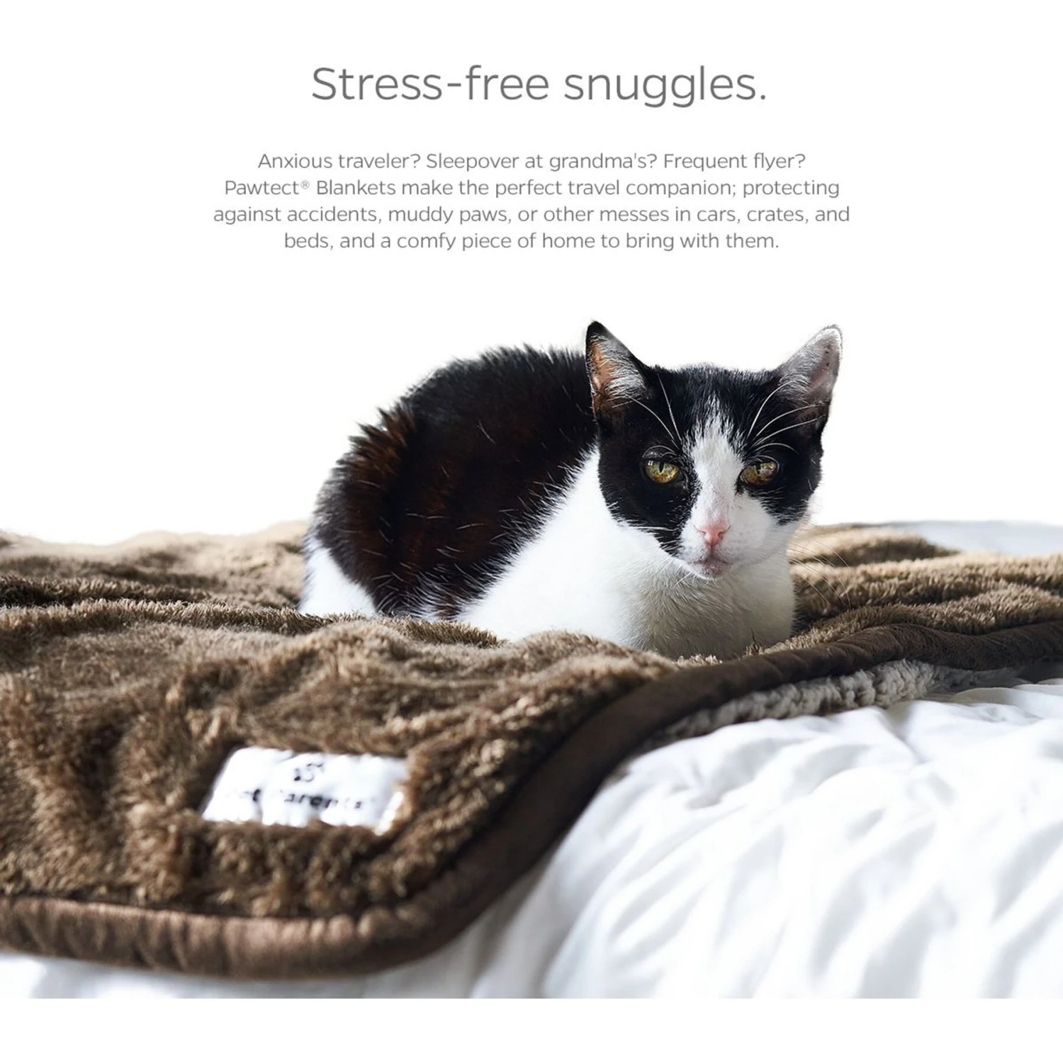 Pet Parents Pawtect Blanket Waterproof Premium Dog & Cat Blanket 7 Pet Parents Pawtect Blanket Waterproof Premium Dog & Cat Blanket - Image 5