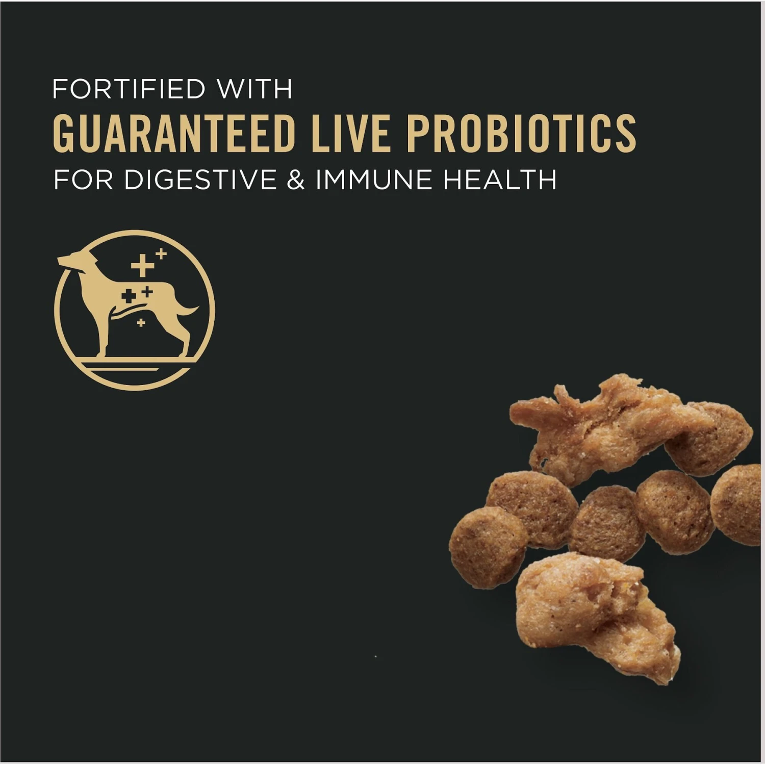 Purina Pro Plan Specialized Shredded Blend Beef & Rice Formula High Protein Small Breed Dry Dog Food 5 Purina Pro Plan Specialized Shredded Blend Beef & Rice Formula High Protein Small Breed Dry Dog Food - Image 3