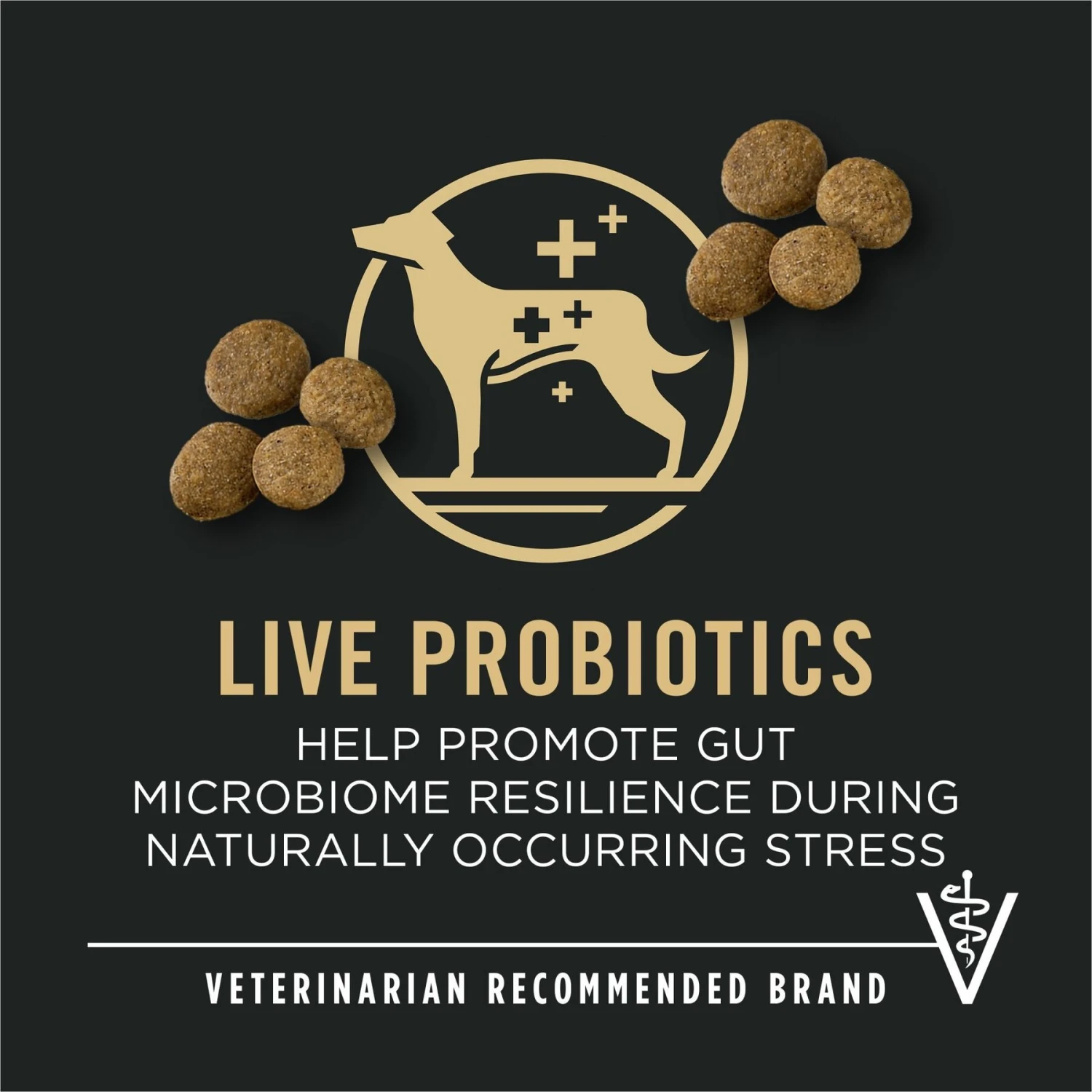 Purina Pro Plan Specialized Beef & Rice Formula High Protein Large Breed Dry Dog Food 11 Purina Pro Plan Specialized Beef & Rice Formula High Protein Large Breed Dry Dog Food - Image 9