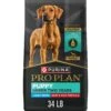 Purina Pro Plan Development Beef & Rice Formula High Protein Large Breed Dry Puppy Food -Blue Buffalos Shop 271628 MAIN. AC SS1800 V1649120799