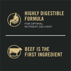 Purina Pro Plan Development Beef & Rice Formula High Protein Large Breed Dry Puppy Food -Blue Buffalos Shop 271628 PT7. AC SS1800 V1649226992