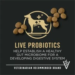 Purina Pro Plan Development Beef & Rice Formula High Protein Large Breed Dry Puppy Food -Blue Buffalos Shop 271628 PT8. AC SS1800 V1649197937