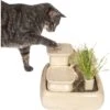 Miaustore Dog & Cat Ceramic Water Fountain, 115-oz -Blue Buffalos Shop 271771 MAIN. AC SS1800 V1650016909